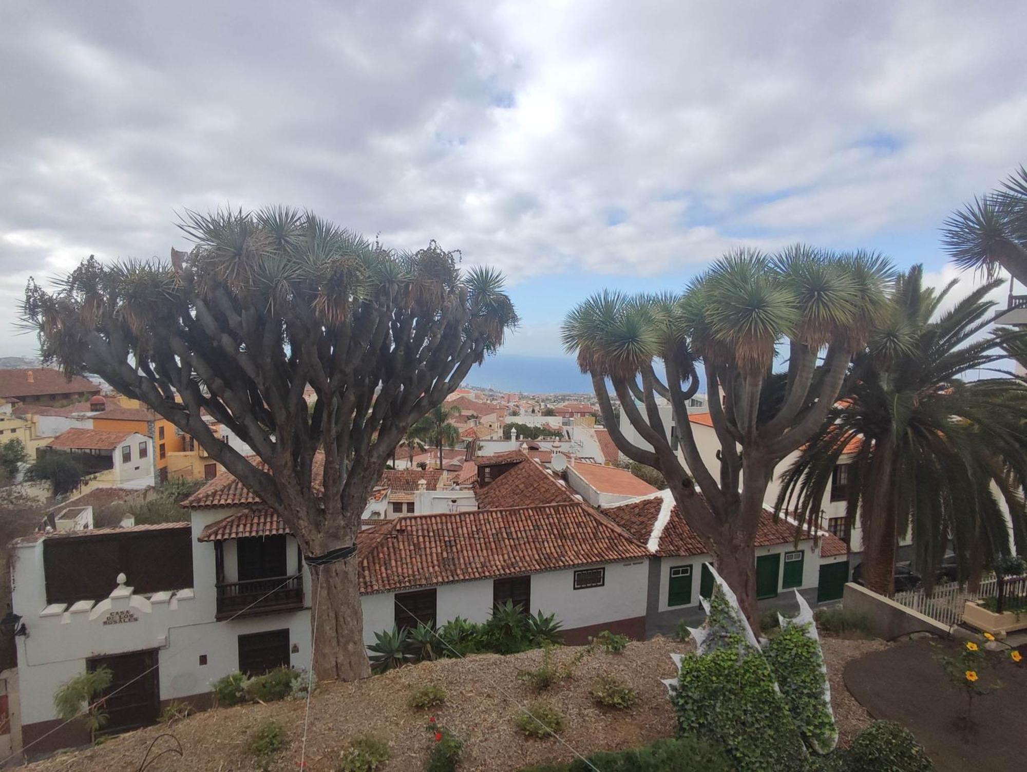 Casa Ruth Centro Orotava Lejlighed La Orotava Værelse billede