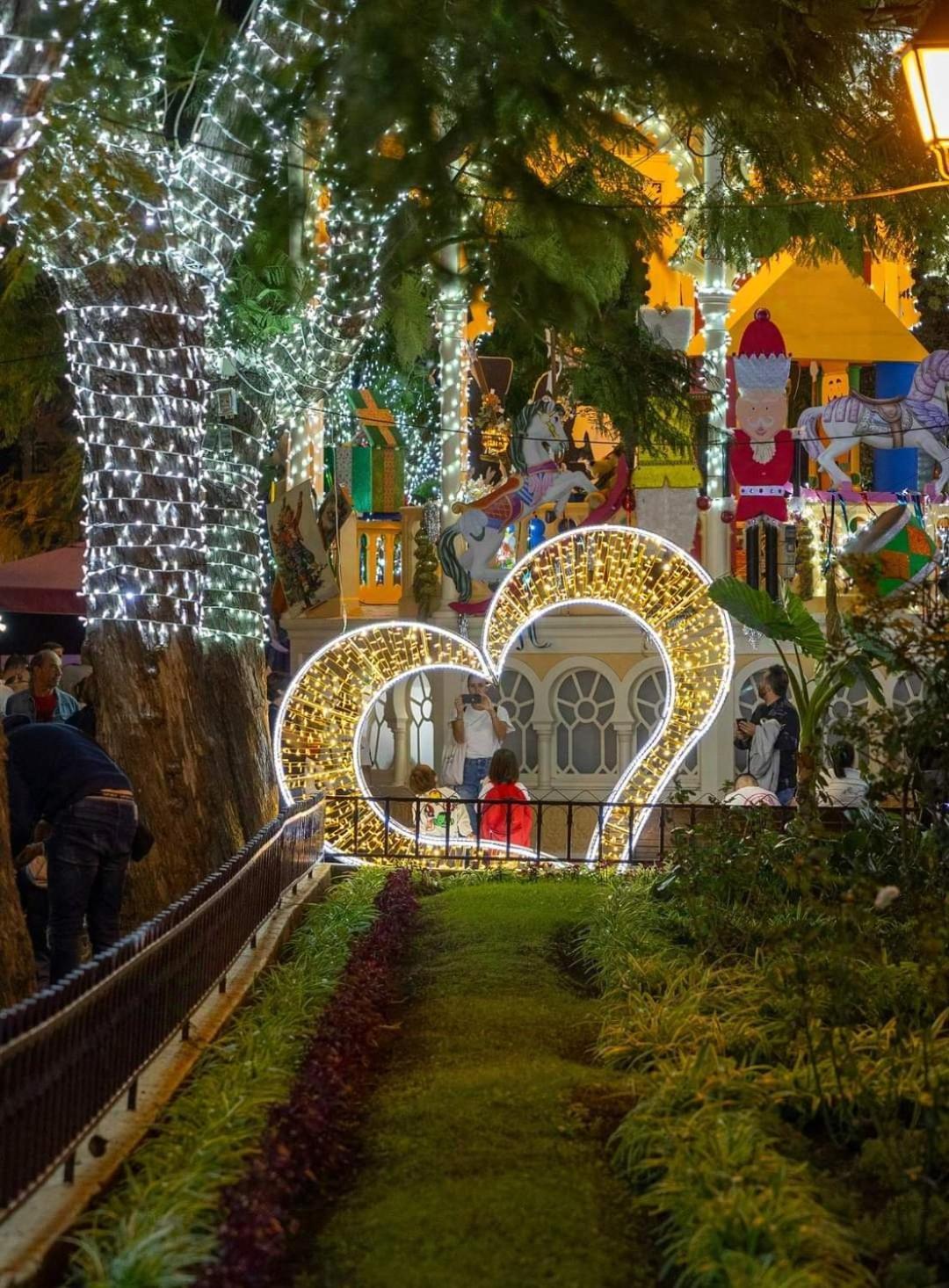 Casa Ruth Centro Orotava Lejlighed La Orotava Værelse billede